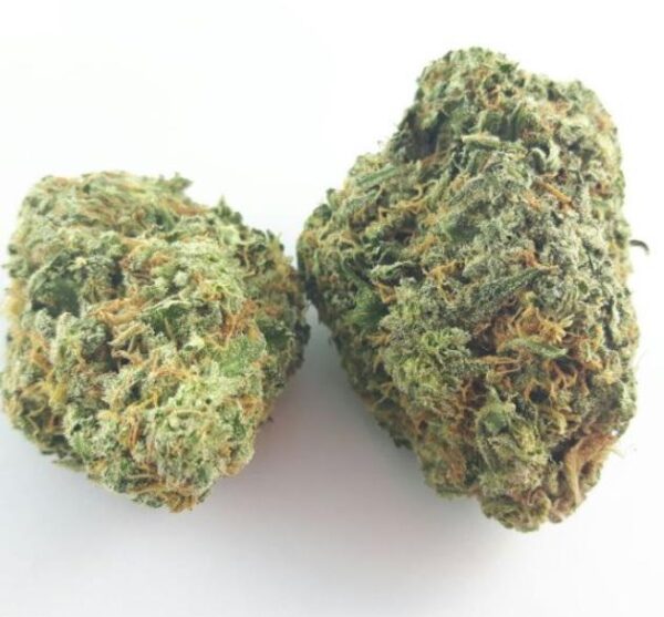 Buy NY Cheese Strain