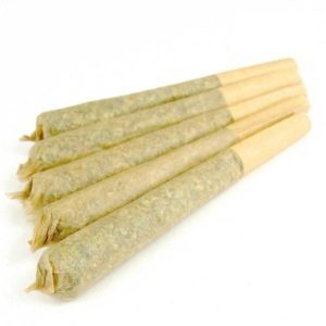 Gelato Pre-Rolled Joints