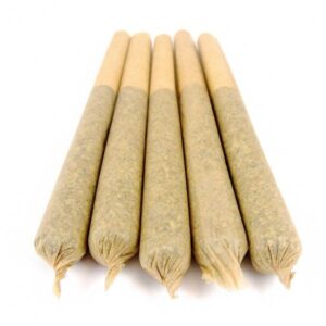 Purchase Animal Cookies Pre-Rolled Joints Online